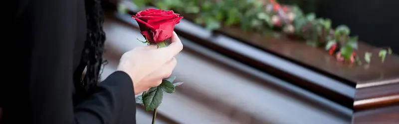 A person holding a red rose in their hand.